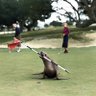 Brian Seal profil fotoğrafı