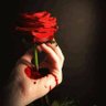 Ali Al sayed's profile picture
