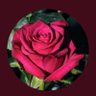 استغفر الله profil fotoğrafı
