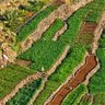 Фото профиля فتى الجبل