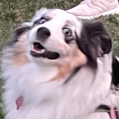 butteredkayla's profile picture