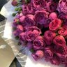فوز's profile picture