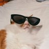 Profilbild von rose
