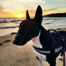 Profilbild von dollylucie