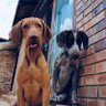 Tollies profil fotoğrafı