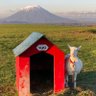 タクミ's profile picture
