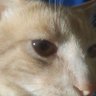 Alquimista en la sombra's profile picture