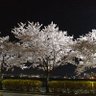 Фото профиля wkrdms5188