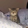 ㅊ ชวนป๋วยปี่แป่กอ wake up ㅡ 的头像