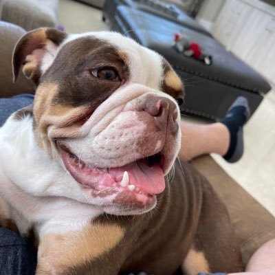 Mark Calcavecchia's profile picture