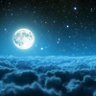 Berenice 🌌's profile picture