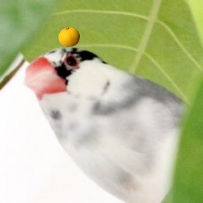 クイちゃん🛺's profile picture