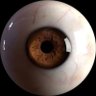 God’s Eye's profile picture