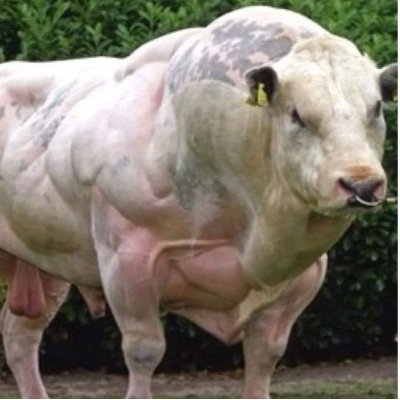 Stockrocker_ASX's profile picture