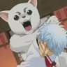 Tapaury's profile picture