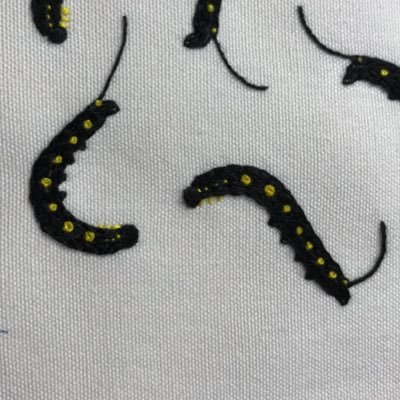 むしめづ's profile picture