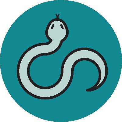 VyperProtocol's profile picture