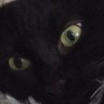 Profilbild von Nalenkha😐