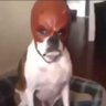 Rell jay's profile picture