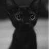 Carter's profile picture