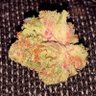 Фото профиля jaywebby420