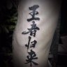 wangzheguilai's profile picture