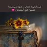 Фото профиля جاري الكتابة ...