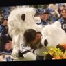 🧢Lions(*'▽'*)fan🦁✨ profil fotoğrafı
