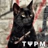 Black cat 的头像