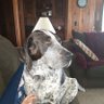 pab0742's profile picture