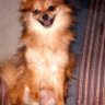Diane L. Harvey's profile picture