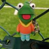 Steve1 🐸's profile picture