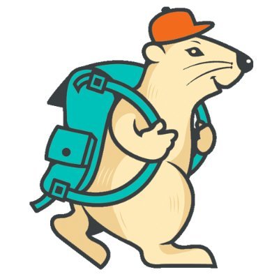 travellemming's profile picture