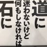 ichigotaruto's profile picture