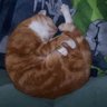angela j's profile picture