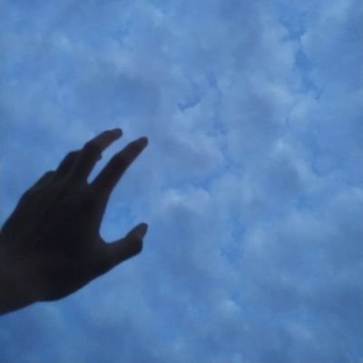 Xunzhu007's profile picture