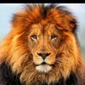 Фото профиля jatinder singh