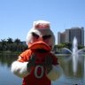 Darrell's profile picture