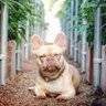 Михаил profil fotoğrafı