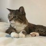キキタラモモ profil fotoğrafı