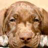 Koert Tijdens's profile picture
