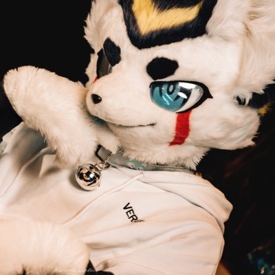 TailFox_Simon (尾狐西蒙)'s profile picture