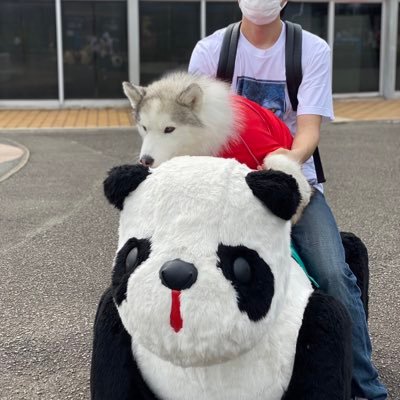 SPOONkoros's profile picture