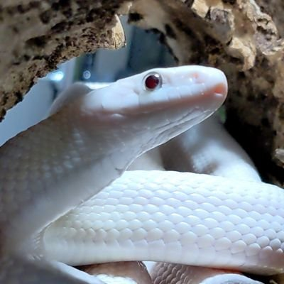 ヒロミ's profile picture