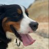 Profilbild von Dave