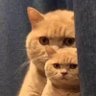summerchill's profile picture