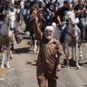 Profilbild von يحيى الجوادي