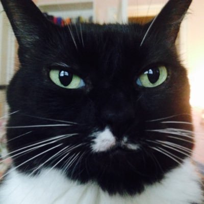sjwhitmore's profile picture