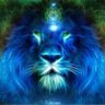 Фото профиля Di Taylor