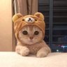 Dana Ibrahim's profile picture